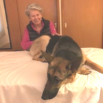 WandaHealingAnimals-HealingEnergyServices